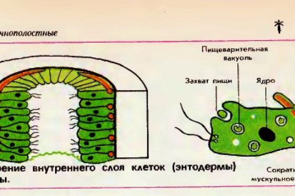 Ссылка блэкспрут torbazah